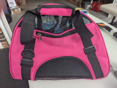 Accessoires pour chat, View more