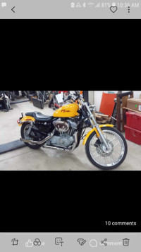 2000 Harley Sportster