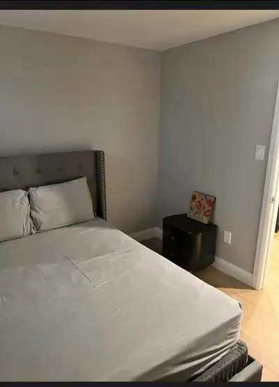 Daily $150 whole Basement apartment Kitchen bathroom and 3 rooms Weekly $800 Monthly $2800 Options f...