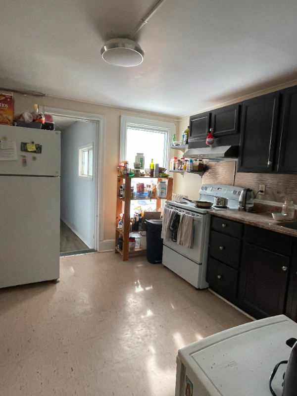 QUEENS U SUMMER SUBLET AVAIL in Room Rentals & Roommates in Kingston - Image 4