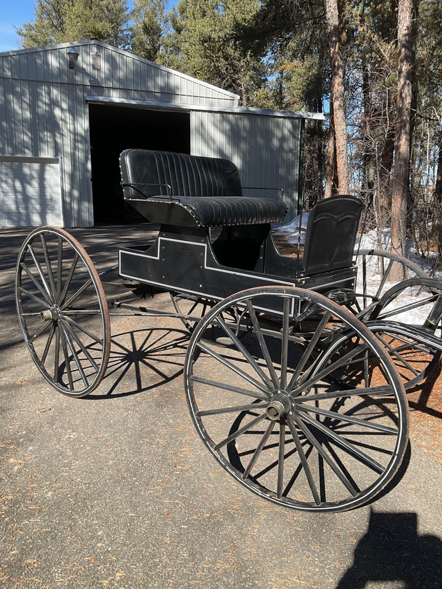 Single light horse buggy for sale in Equestrian & Livestock Accessories in Prince Albert - Image 2