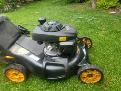 Poulan pro riding mower oil sale
