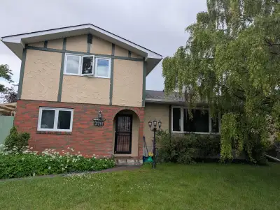 rent 4 bedroom house
