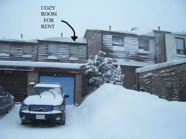 Finch/Warden - Clean, bright, quiet, private 2nd floor room.