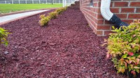 Red tire Mulch for sale