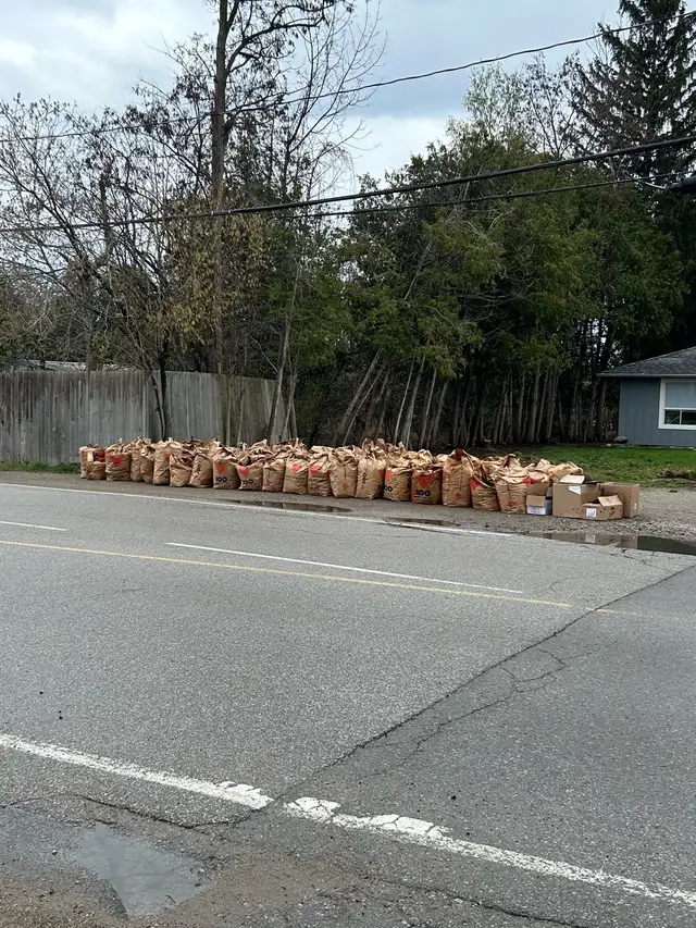 Yard Cleanup & Garbage Removal in Other in Barrie - Image 2