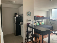 Bachelor Apartment for Sublease