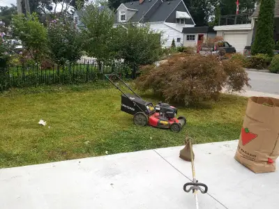 Lawn mowing for sale , View more