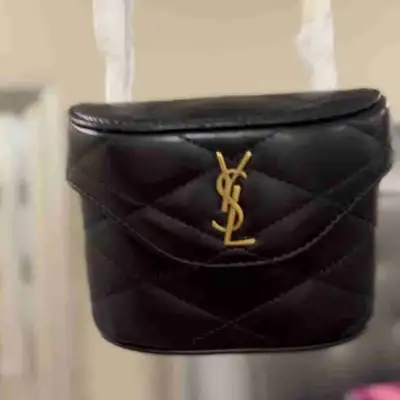 Saint Laurent Vanity Bag, View more