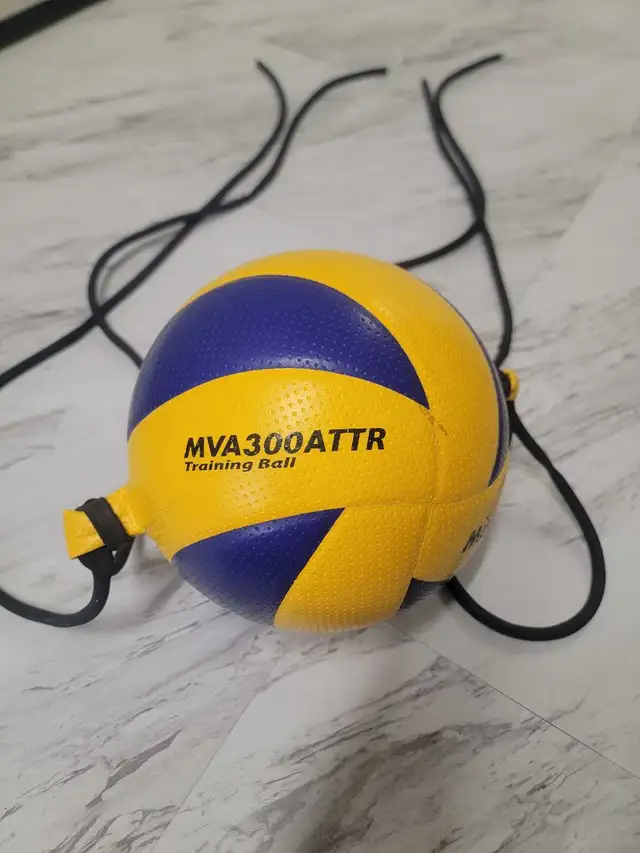 Mikasa training volleyball