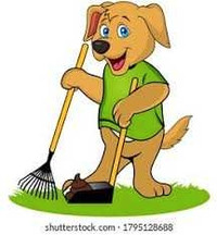 Spring Dog Poop Clean Up for $75