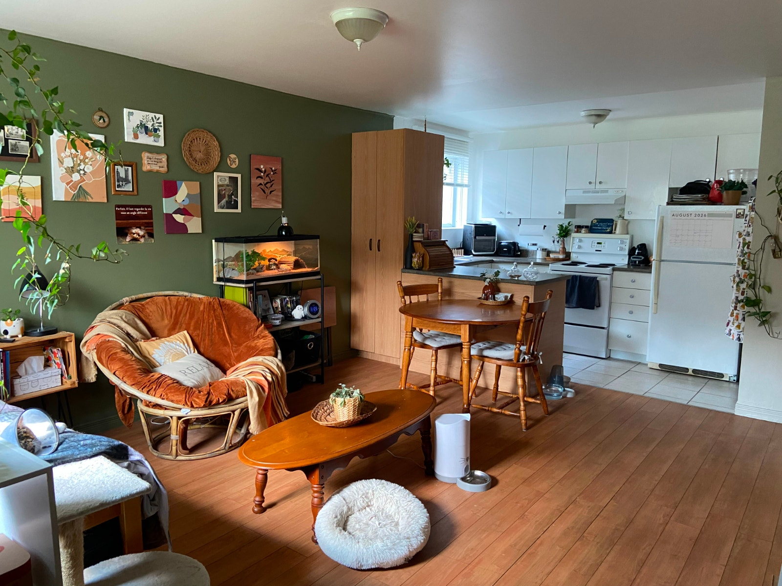 Appartement 3 1/2 a louer — photo 3