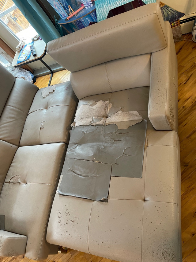 Free Couch in Free Stuff in Edmonton - Image 2