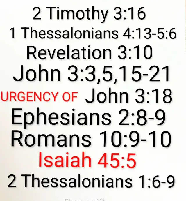 Evangelise582832356212746242