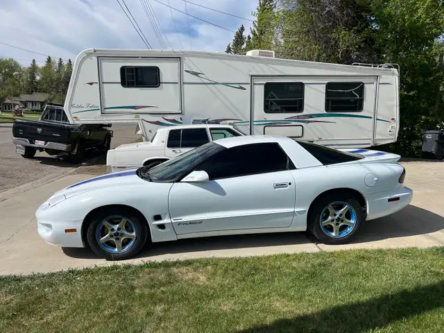 beautiful 98 firebird576046251315056643