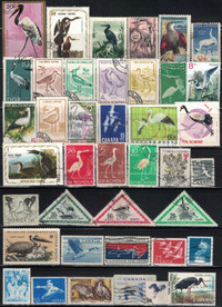 Crane, Bird Stamps, 40 Different