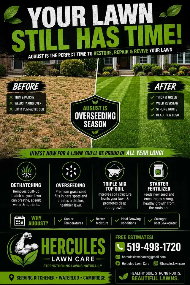Lawn Renovation & Overseeding | Kitchener Waterloo Cambridge