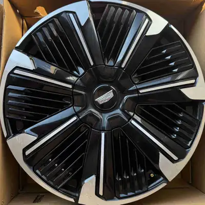 Taken off a 2025 Cadillac Escalade IQ before purchase. Center caps included. Perfect for a winter se...