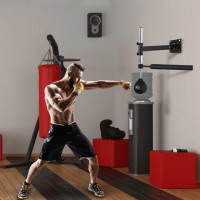 Wall Mount Reflex Boxing Trainer