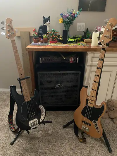 Sterling Stingray -400 Squire Classic vibe 70’s -600 SWR amp + Peavey 4x10 cab - 500.
