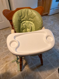 Fisher price highchair that attaches to any kitchen chair