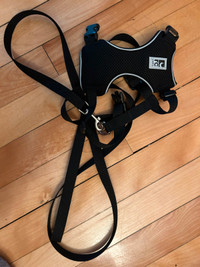 Cat harness and leash (small)