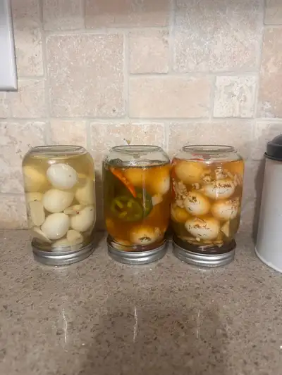 Fresh Quail Eggs Available, View more