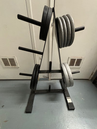 Workout equipment - weight plates/rack, adjustable bench, EZ bar
