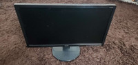 Acer 21” Monitor 