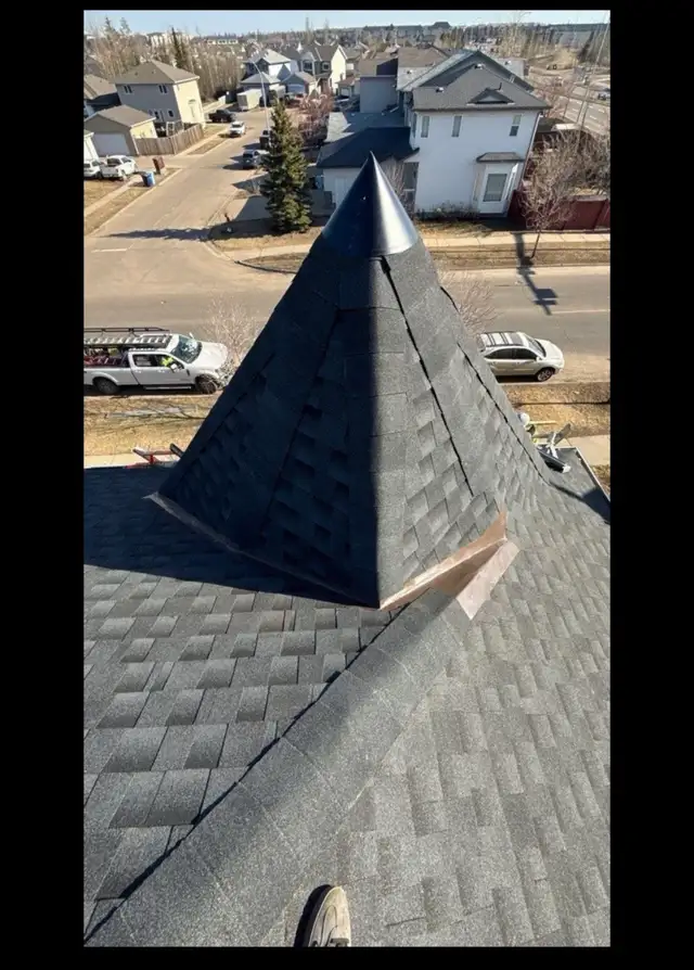 Professional Roofing Services479098259983585283