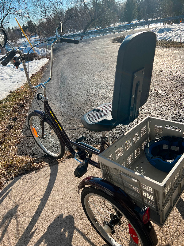 Adult Trike in Other in Ottawa - Image 3