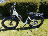 Rize Leisure Electric Bike 20ah