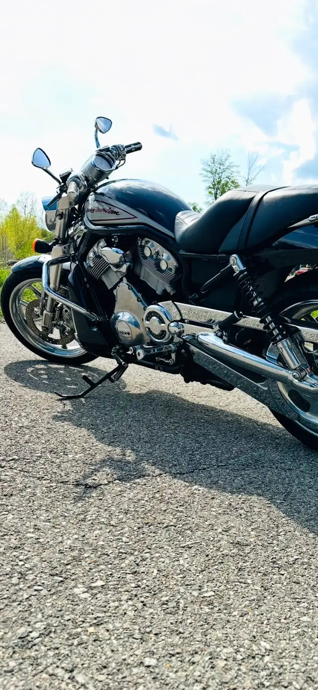 Harley Davidson V Rod Street  2006 in Sport Touring in Laurentides - Image 4