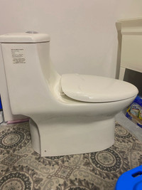 Pfister Toilet 