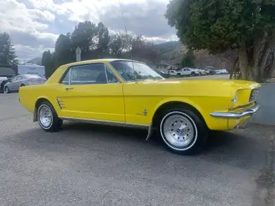 1966 mustang. Straight 6 engine. Interior in good shape ,body has chips and a few scratches in paint...