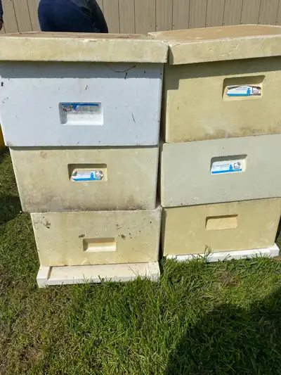 Bee -  Insulated boxes