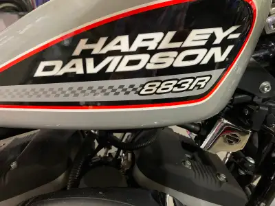 Excellent shape and exceptionally clean. Seldom ridden. Rare brilliant silver on blacked-out powderc...