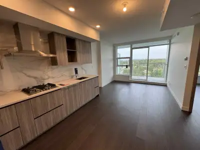 Brand New 1BR Park George in Surrey Central King George Stn