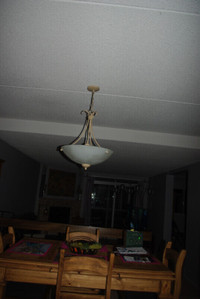 Ceiling Light Fixture