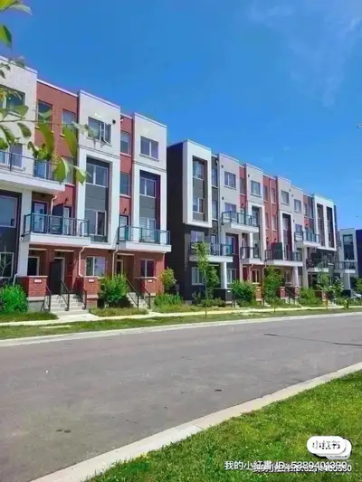 North York downsview park 1 furnished single room