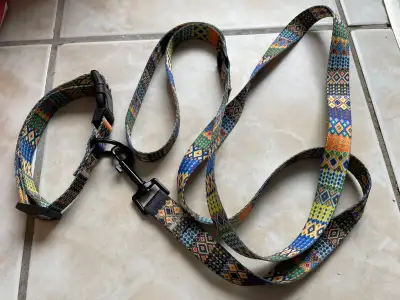 Small Dog Leash & Collar Matching Set, View more