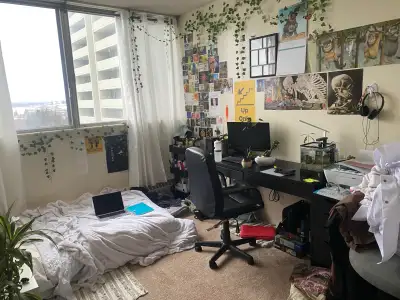 Looking for a female roommate in a 2 bed apartment close to Carleton University and transit. Local g...