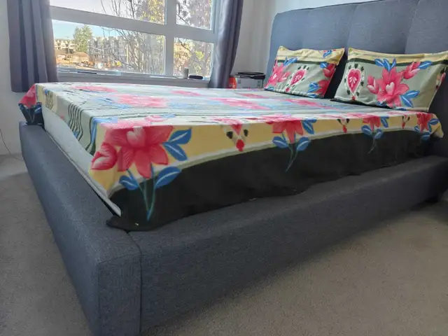 Queen Bed with Headboard – Like New in Beds & Mattresses in Delta/Surrey/Langley - Image 3
