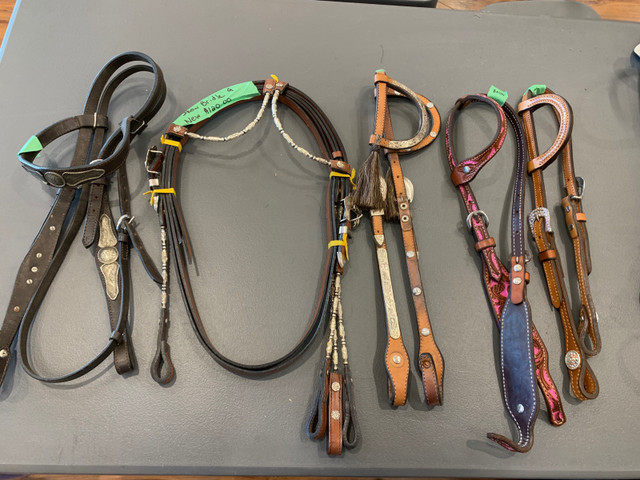 Western show headstalls in Equestrian & Livestock Accessories in Strathcona County