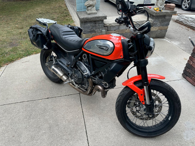 2019 Ducati Scrambler Icon ABS - 803cc in Street, Cruisers & Choppers in Mississauga / Peel Region - Image 2