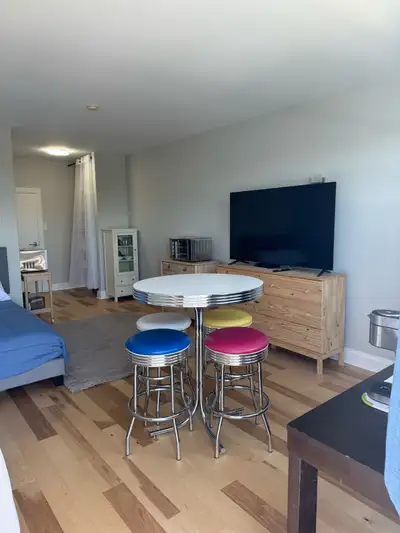 Beautifully Renovated Bachelor Apartment Move in Ready Furnished, Heat, Lights, Water, Cable and Wif...