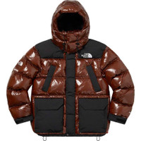 Supreme X North Face 700 down winter coat brand new with tags