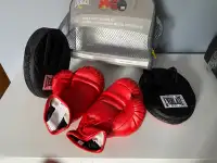 Everlast Boxing Gloves Training Set (Youth)