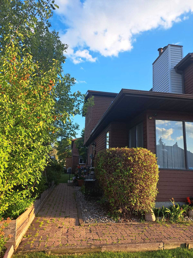Room For Rent (Basement) in Long Term Rentals in Edmonton - Image 2
