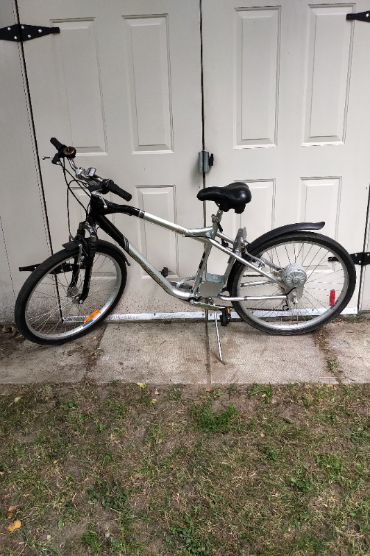 Schwinn al1020 for sale shop